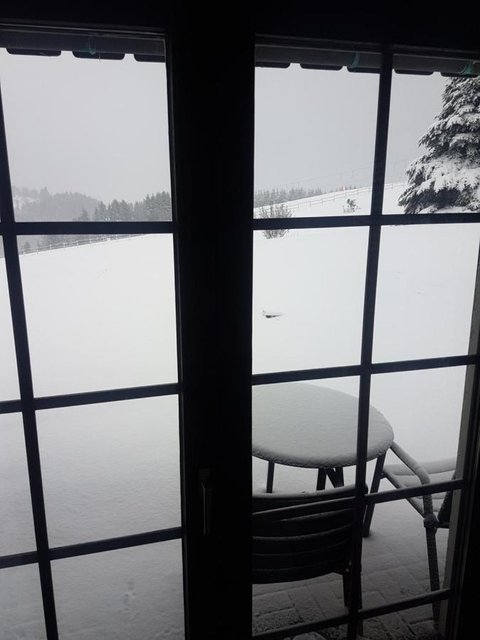 Appartement Neuastenberg Winterberg Dış mekan fotoğraf